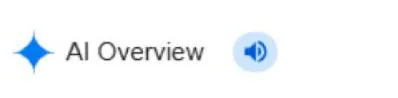 Google AI Overview label